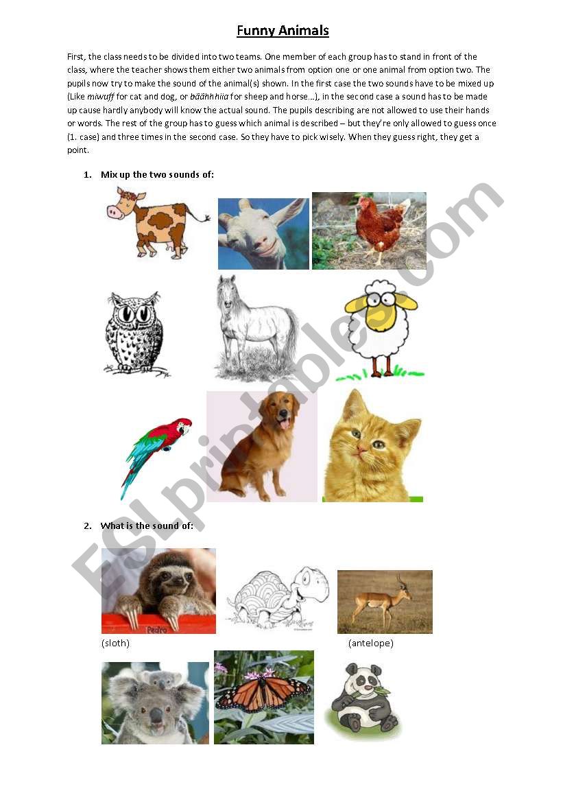Funny Animals! worksheet