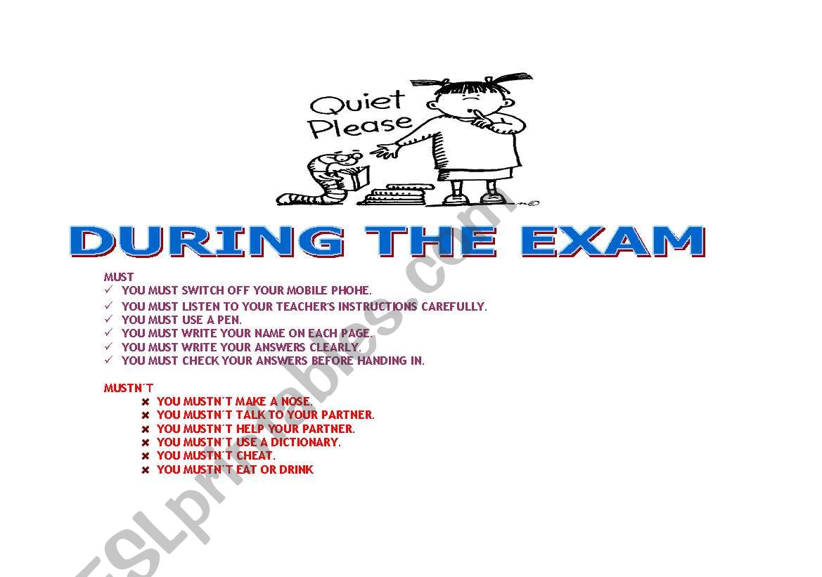 DURING THE EXAM worksheet
