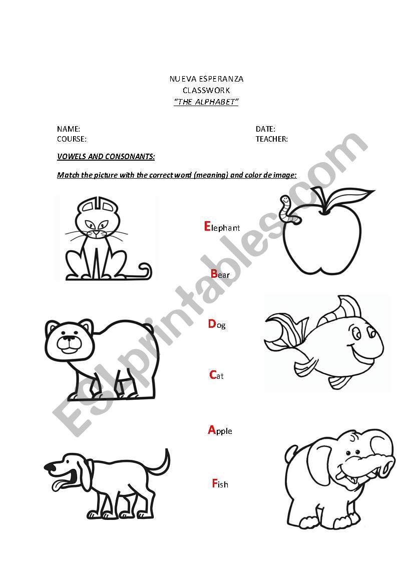 Alphabet match ( vowels and consonants)