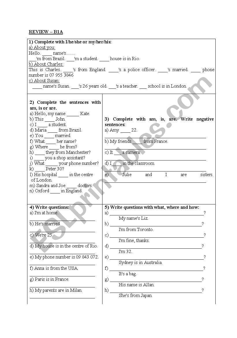 basic review worksheet