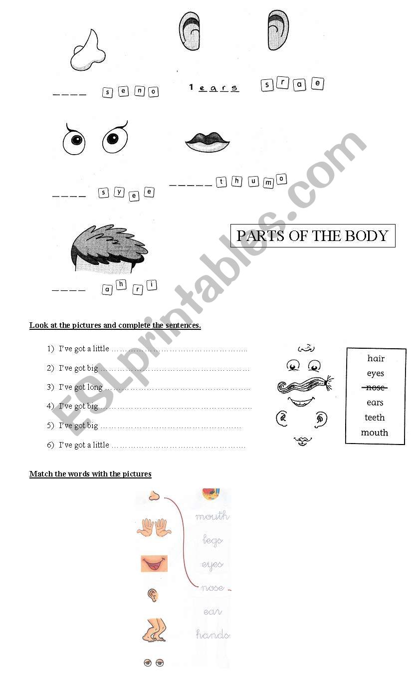 Parts of the body worksheet