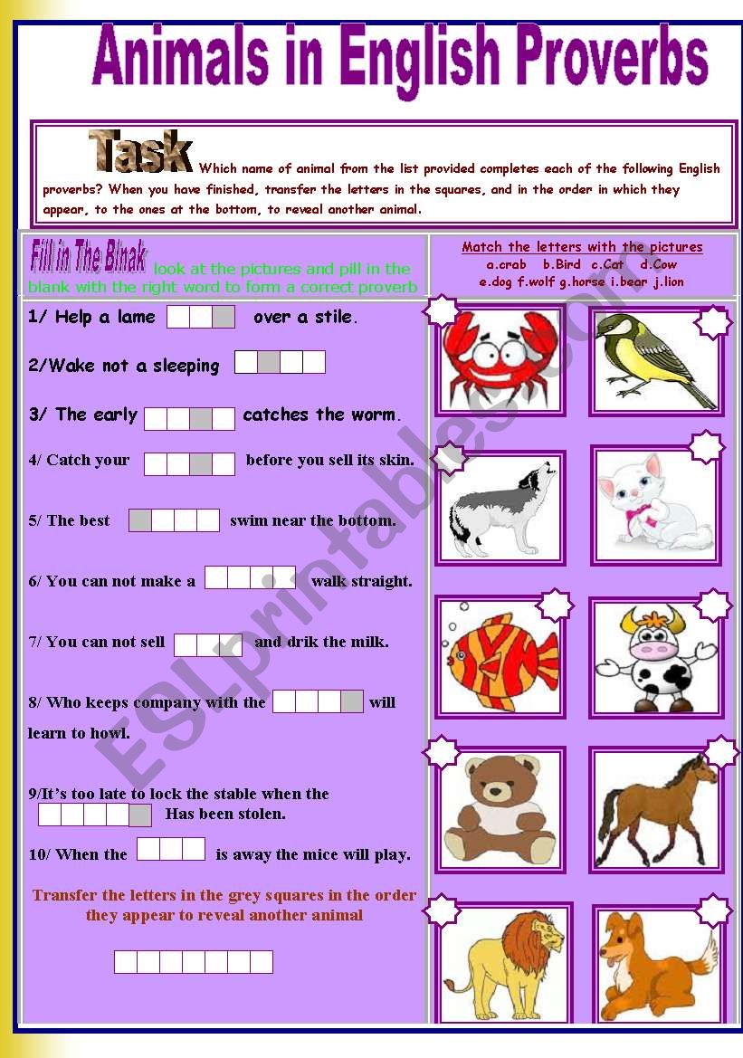 Animal In English Prroverbs worksheet