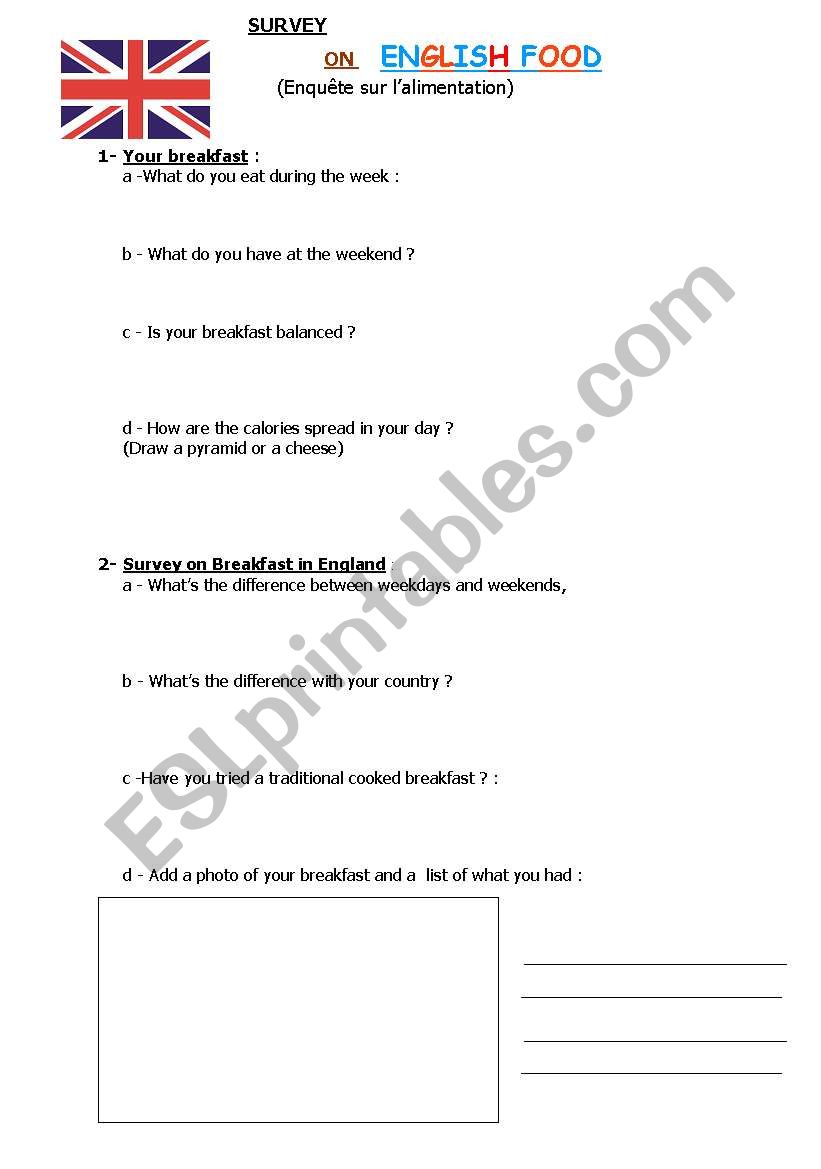 Food Survey worksheet