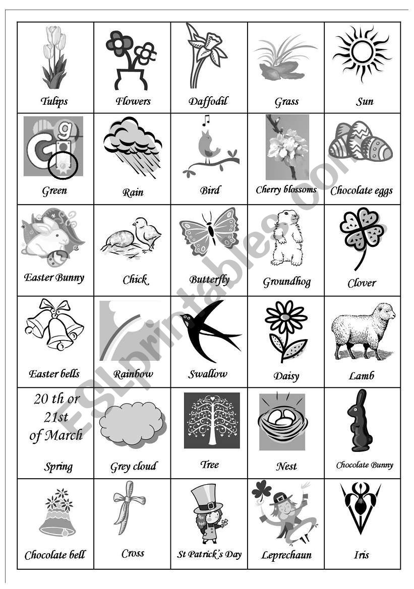 Spring  pictionary worksheet