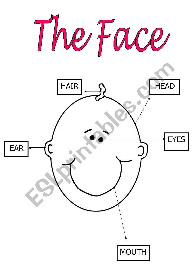 THE FACE worksheet
