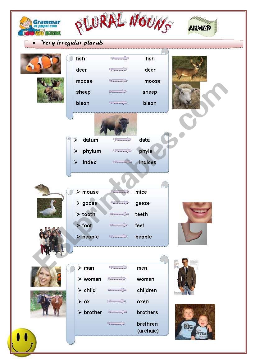 Plural Nouns Part 3 worksheet