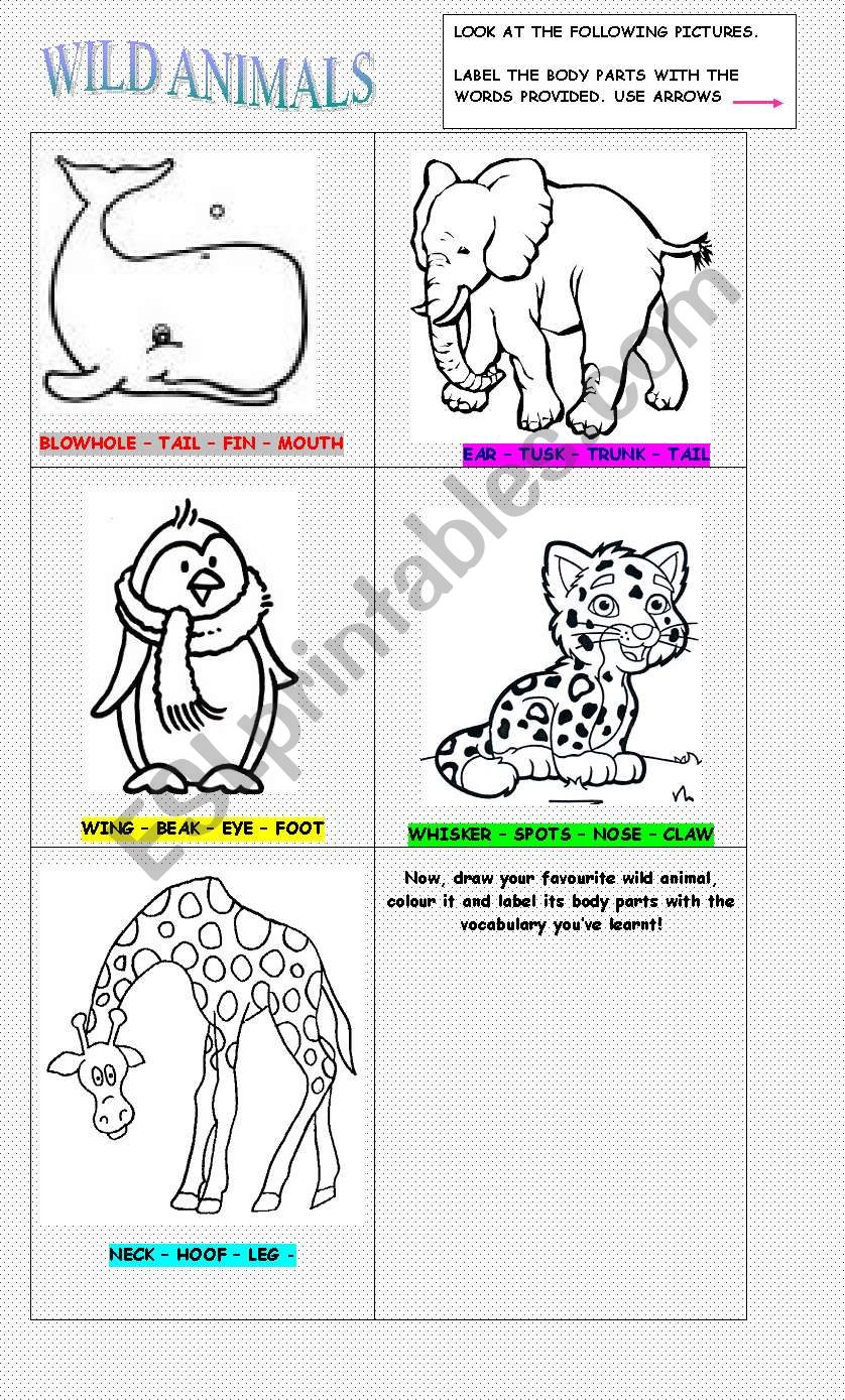 WILD ANIMALS - BODY PARTS worksheet