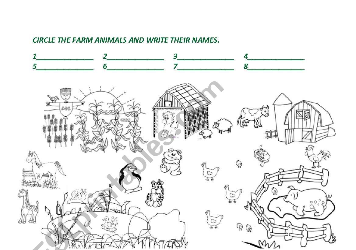 Farm Animals worksheet