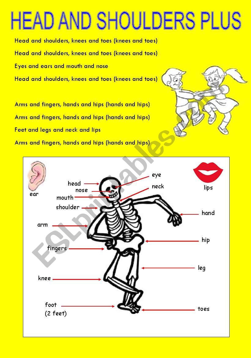 Head and shoulders-plus worksheet