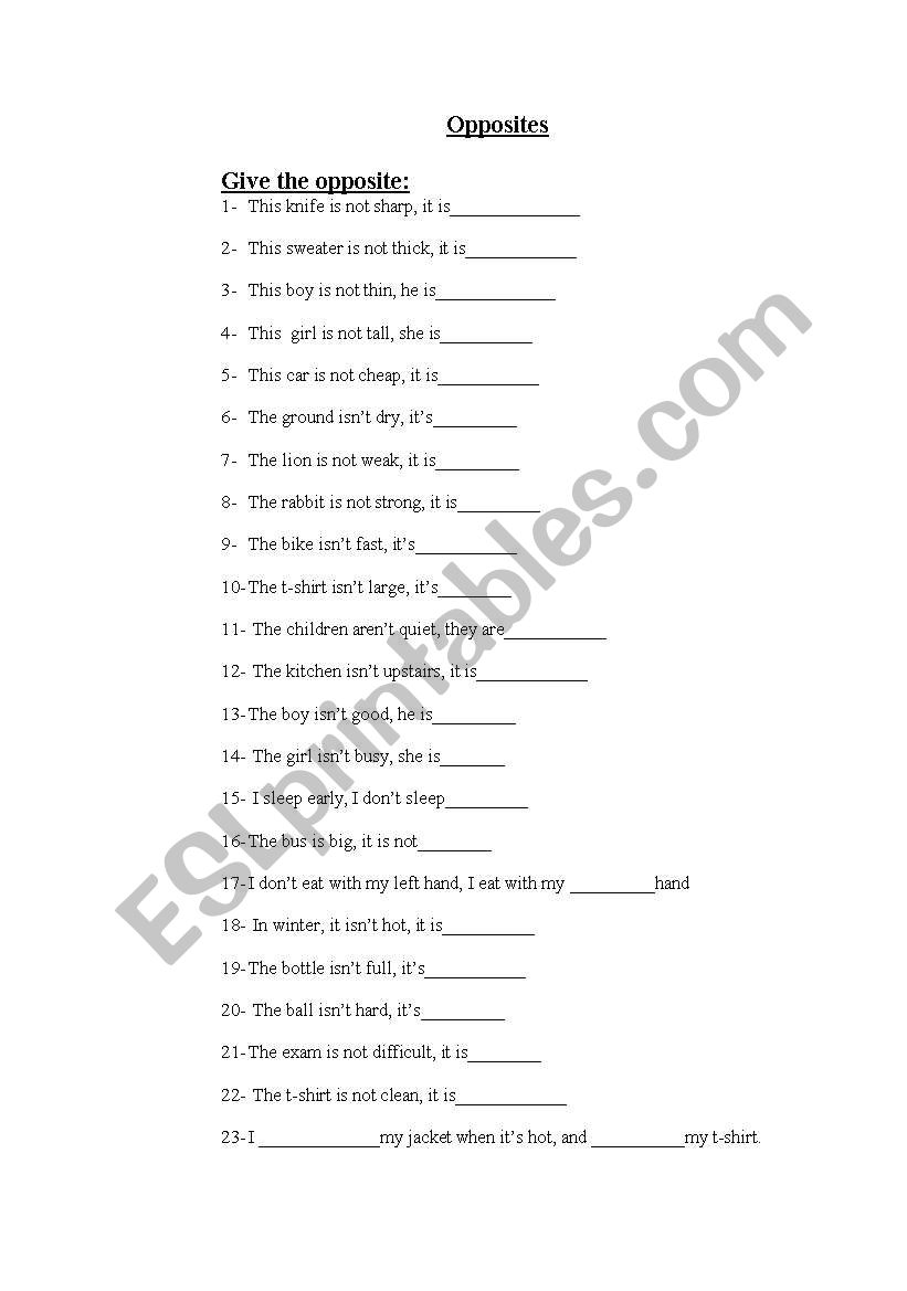 Opposites worksheet