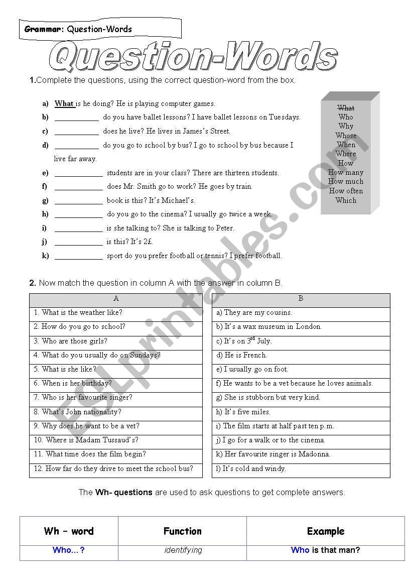 Question words worksheet worksheet