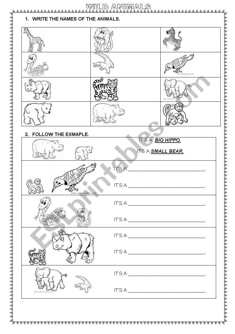 Wild Animals Activities worksheet