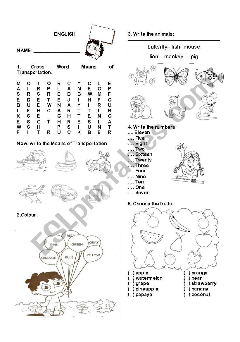 means of transportation worksheet