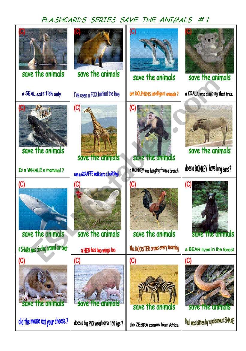 Multipurpose flash-cards.  Animals # 1