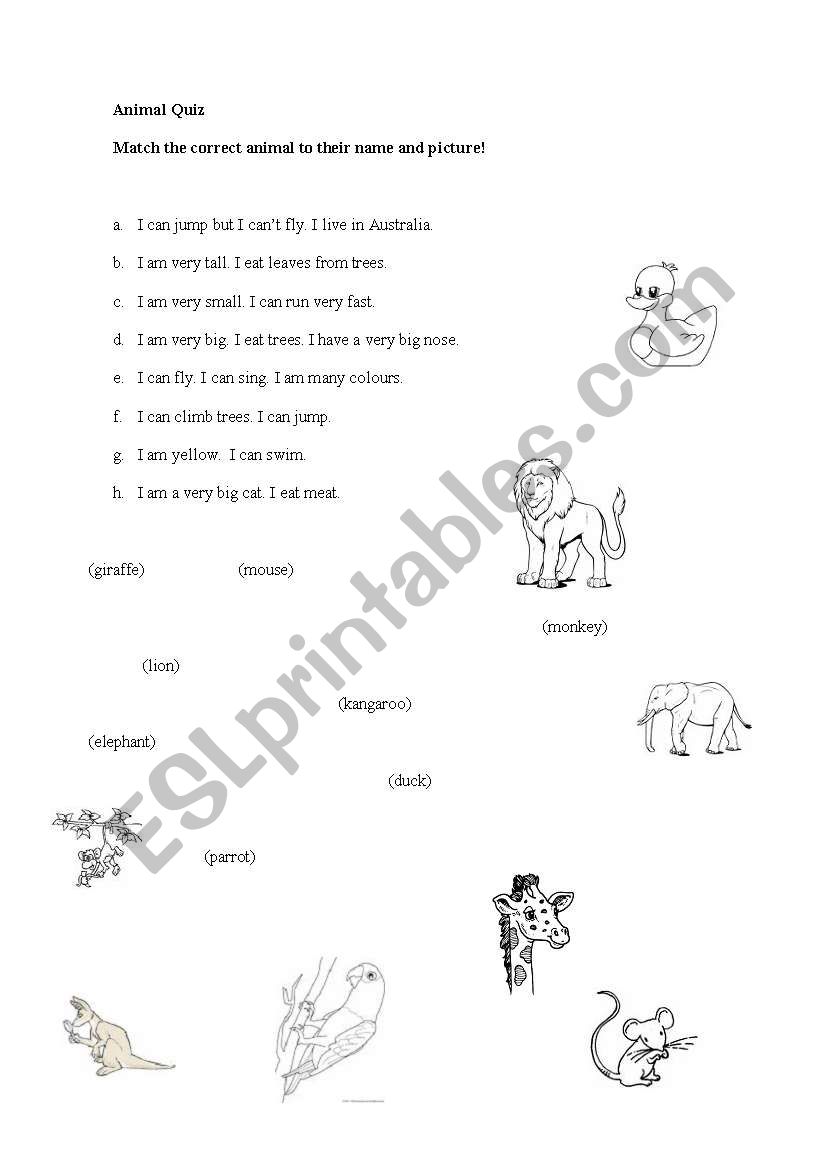 Animal Quiz worksheet