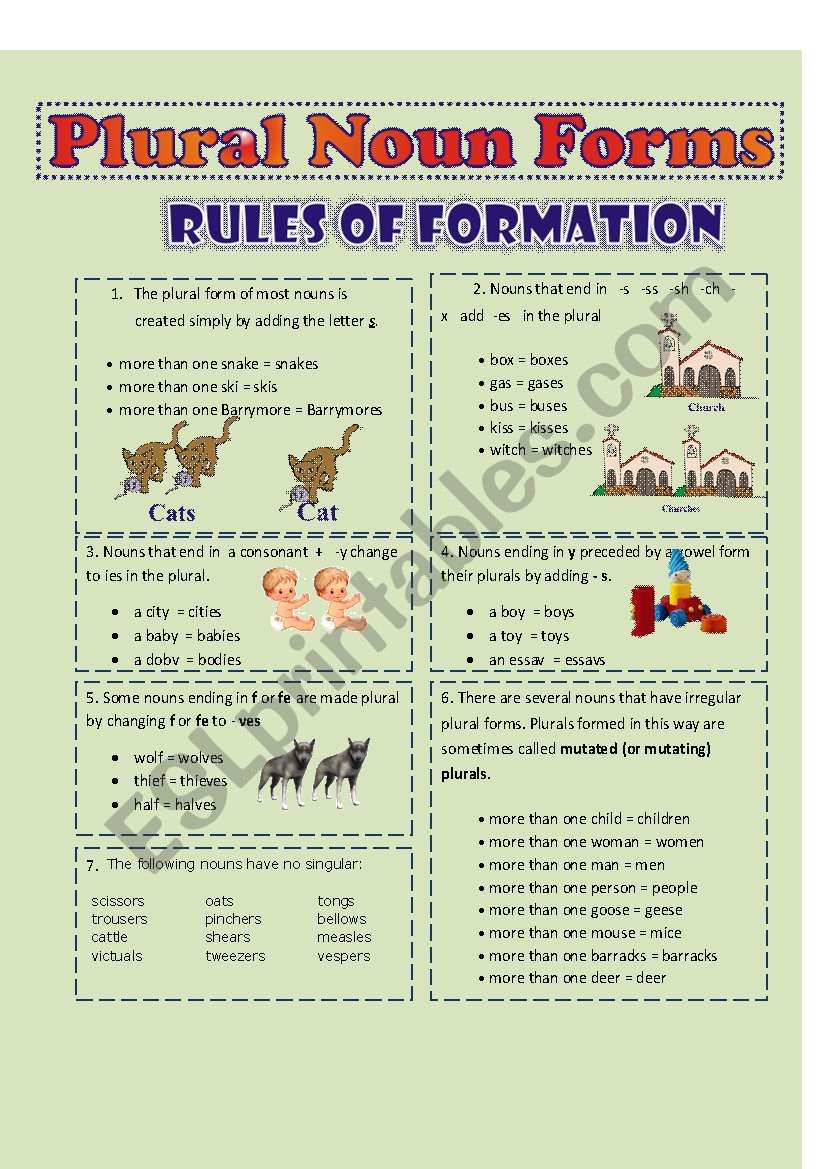 plural noun forms worksheet