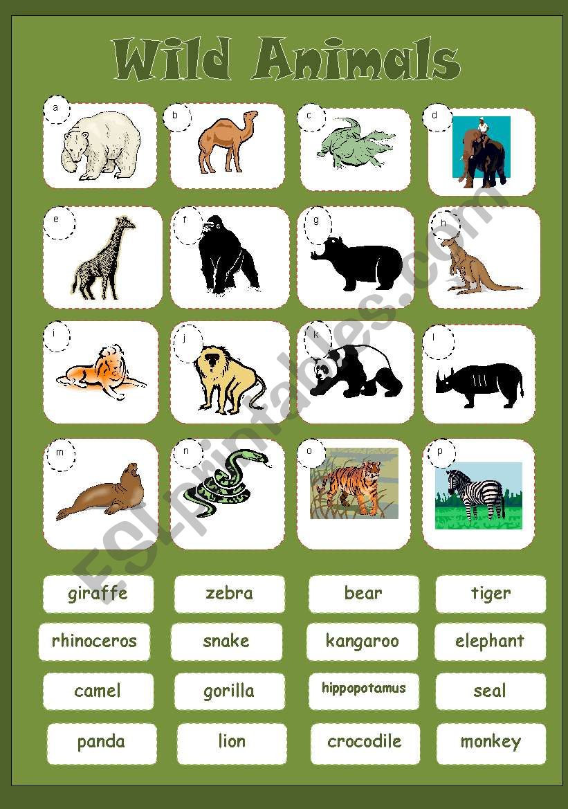 WILD ANIMALS - matching worksheet
