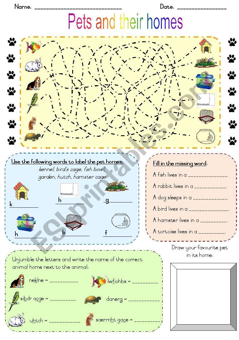 Pets and their homes worksheet