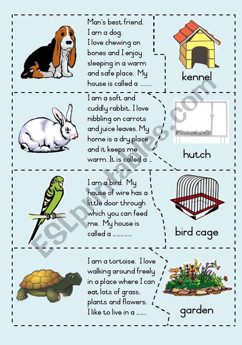 Pets and their homes - Puzzle worksheet