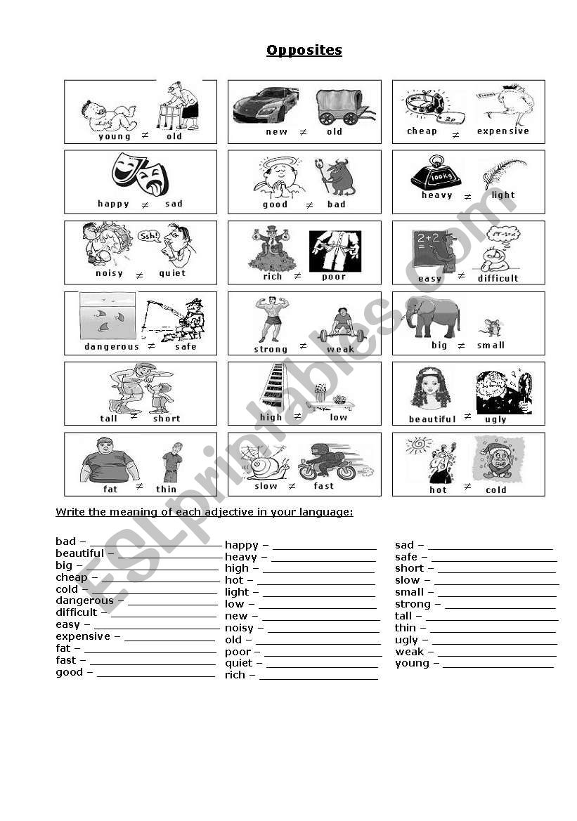 Opposites worksheet