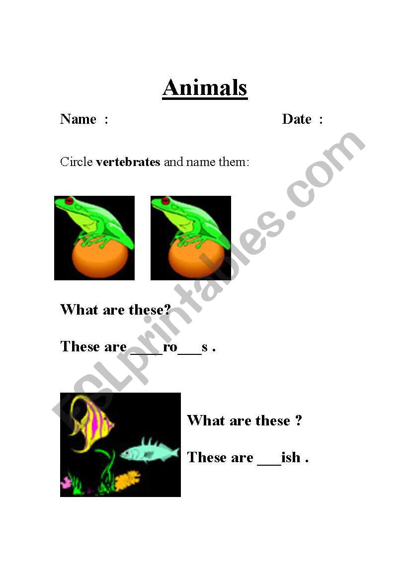 Animals worksheet