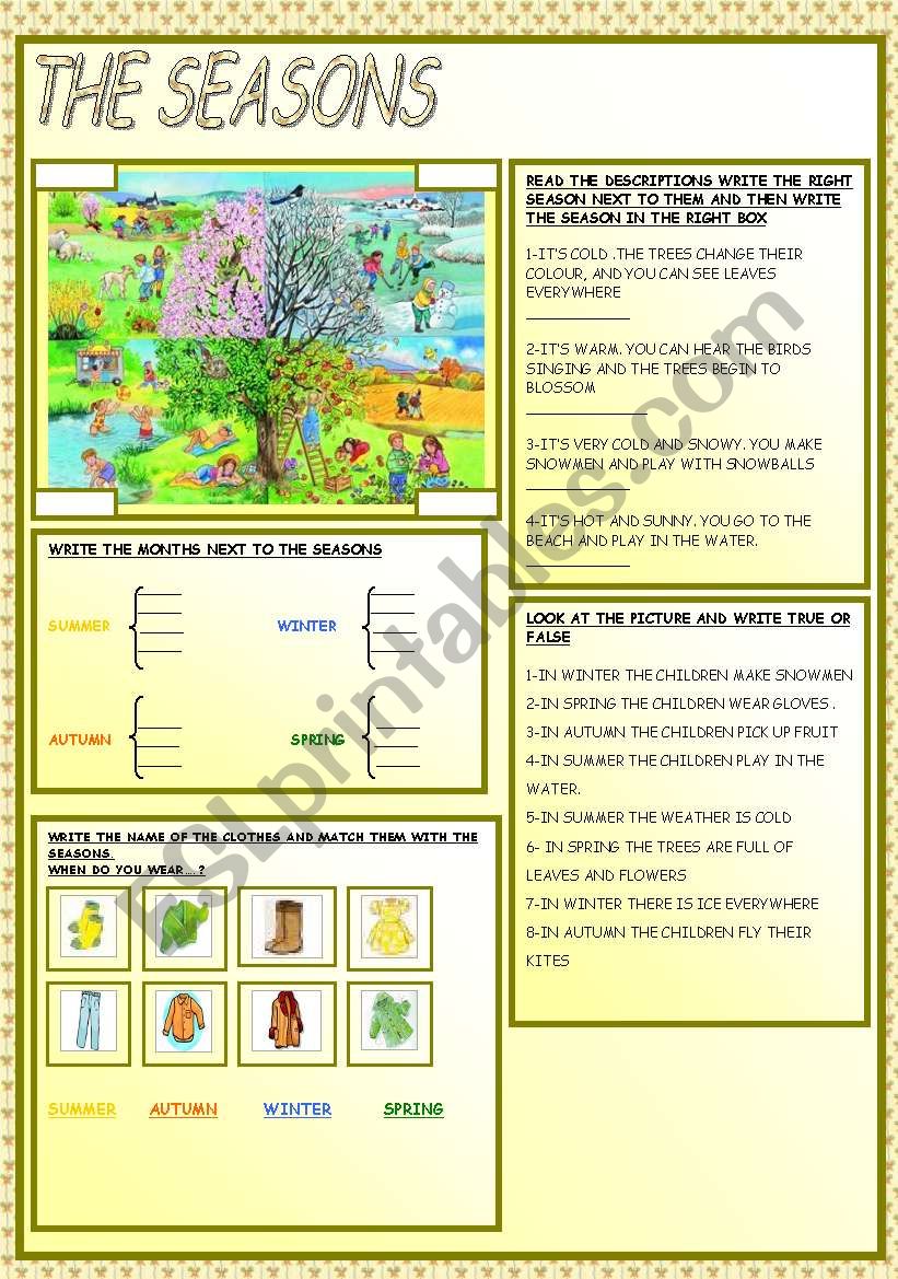 THE SEASONS worksheet