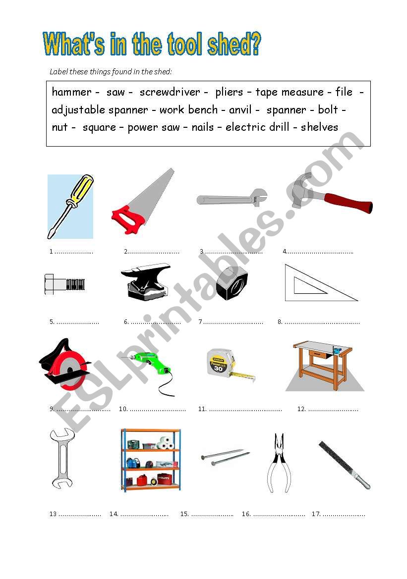 Whats in the Tool Shed? worksheet