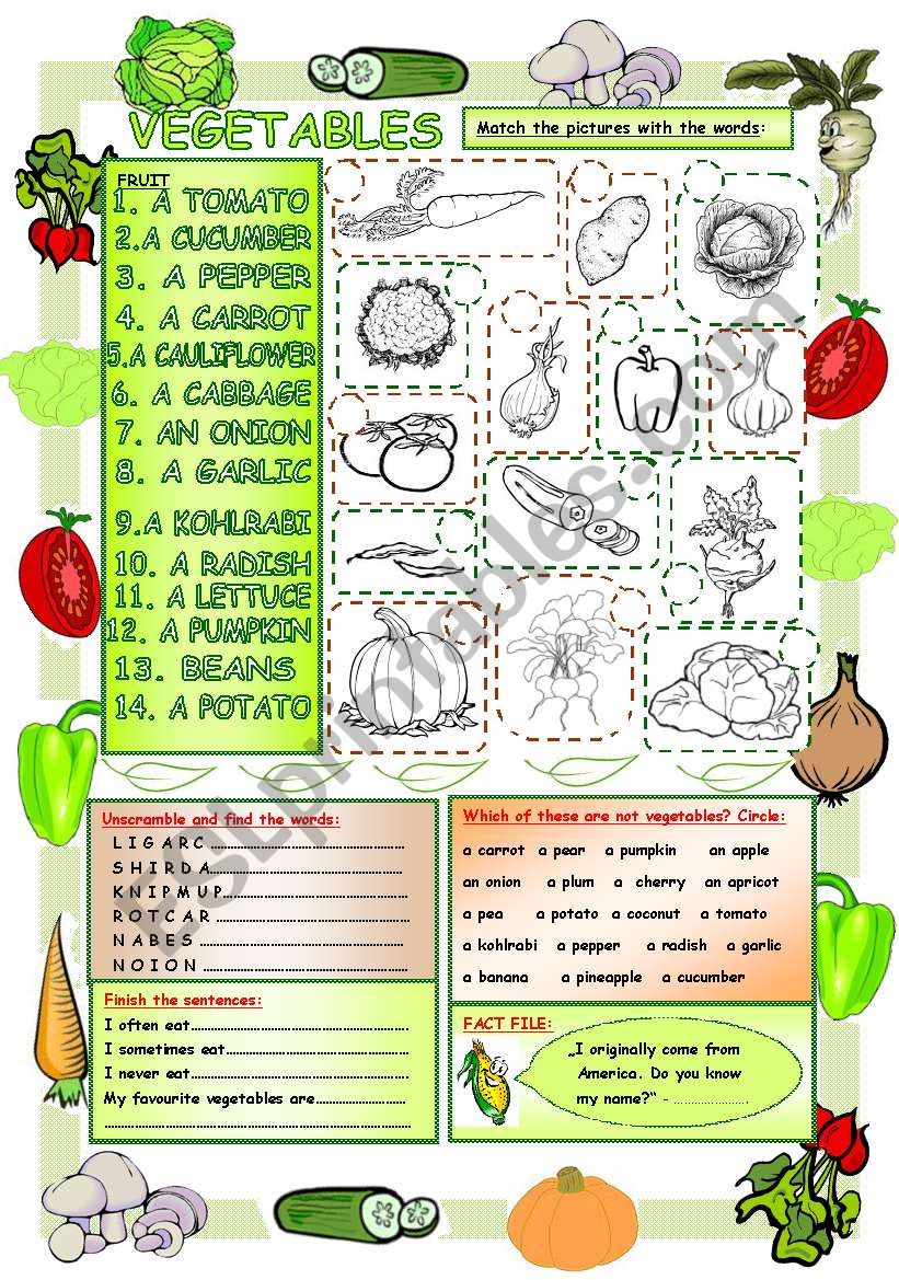 Elementary Vocabulary Series8-Vegetables