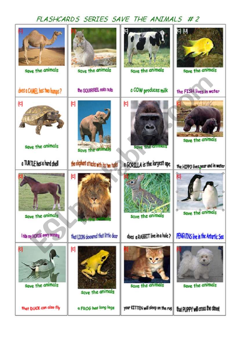 MULTIPURPOSE FLASHCARDS: animals # 2 - ESL worksheet by mercader11