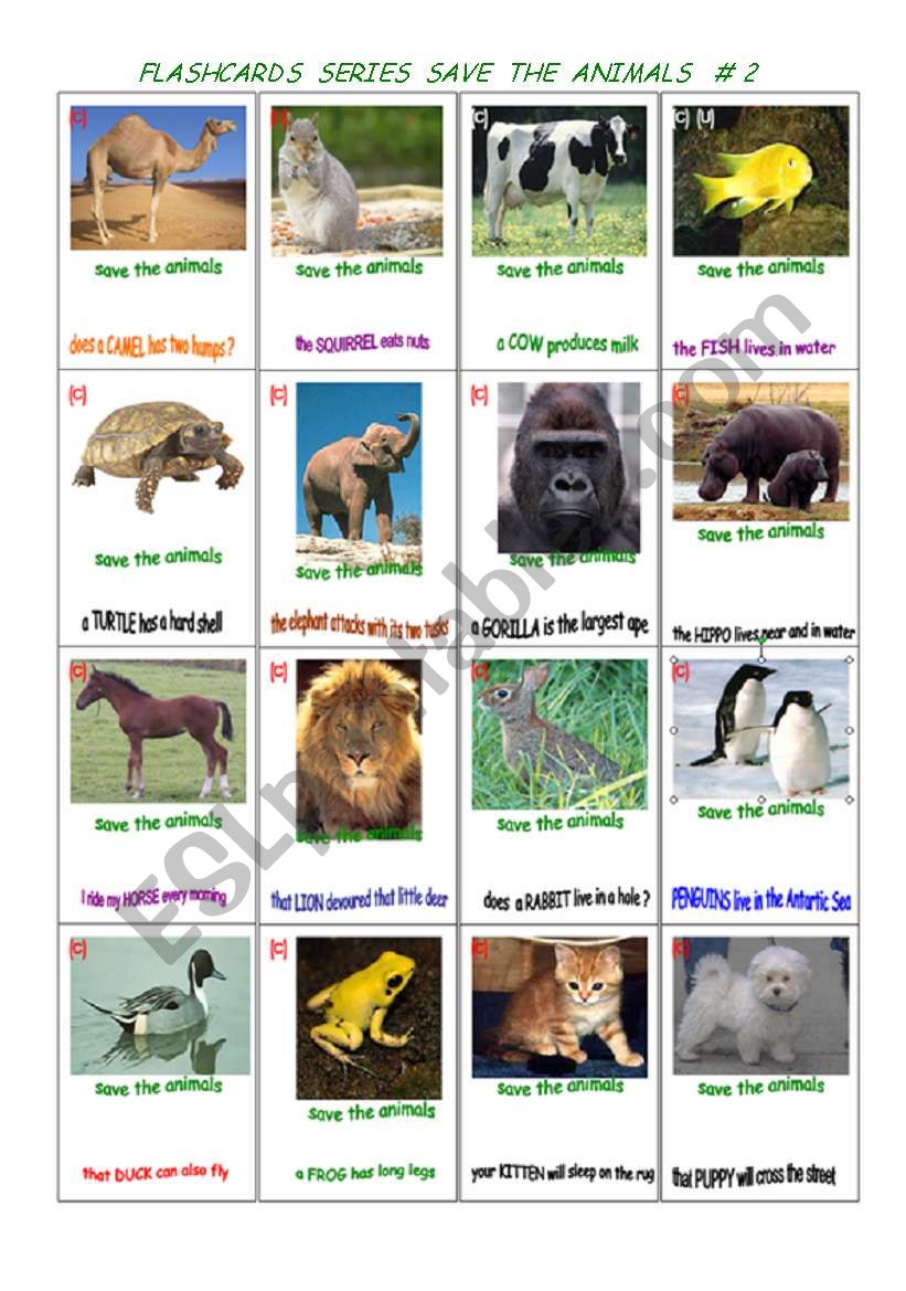 MULTIPURPOSE FLASHCARDS: animals # 2