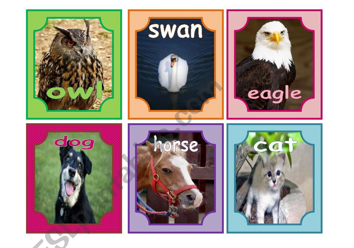 ANIMALS worksheet