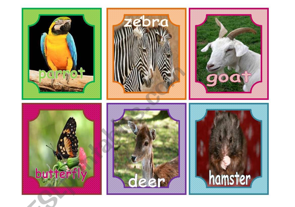 ANIMALS 2 worksheet