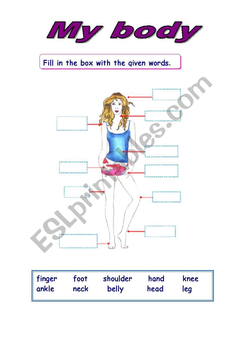 My body worksheet