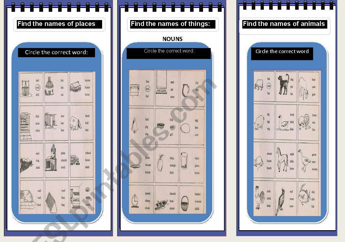 NOUNS worksheet