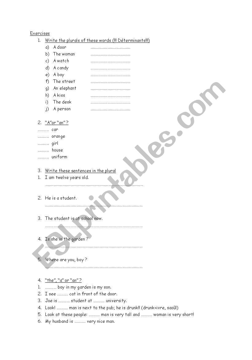 Plurals and articles worksheet