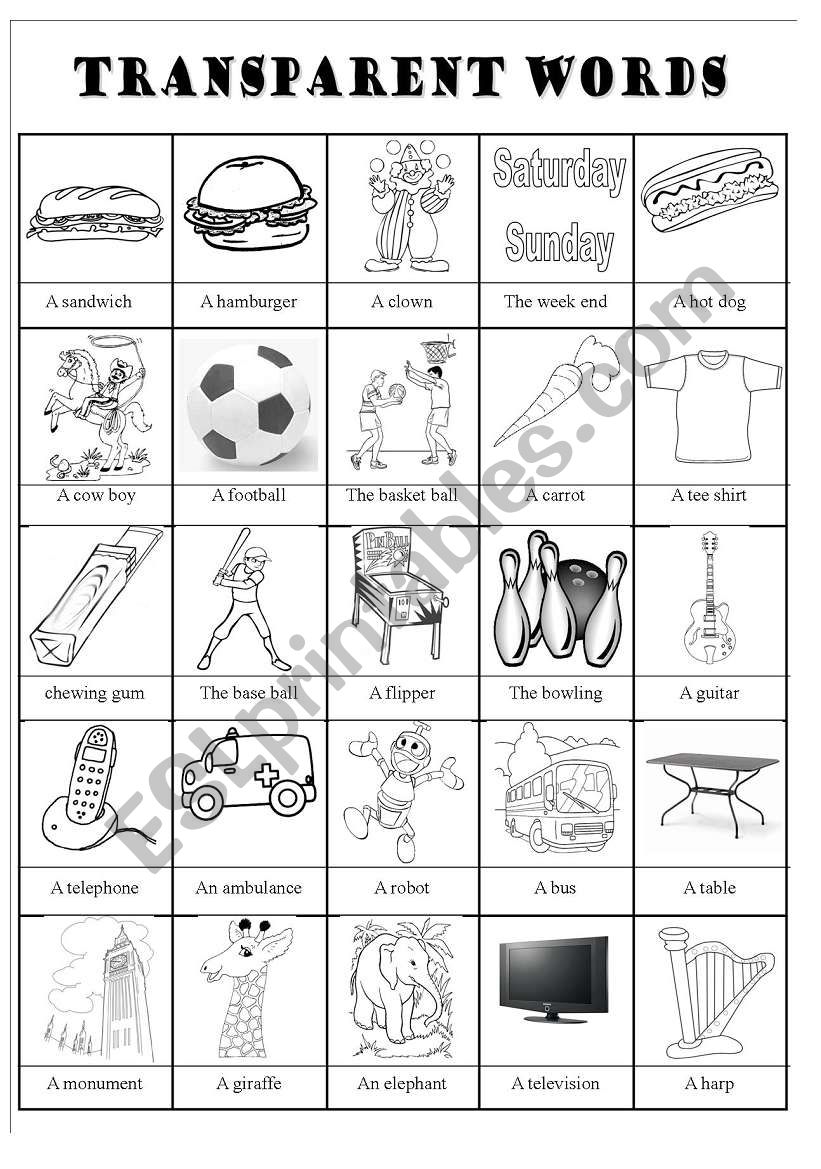 Transparent words pictionary worksheet