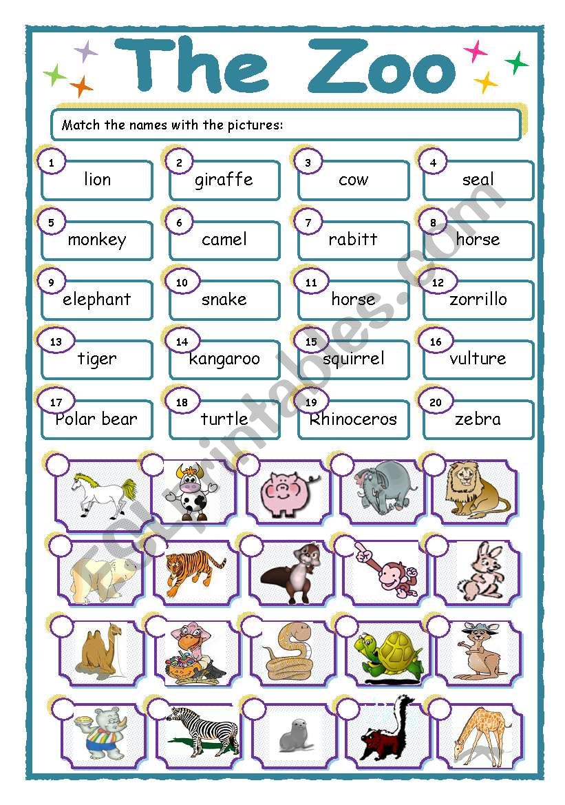 The zoo, reading + exercises worksheet