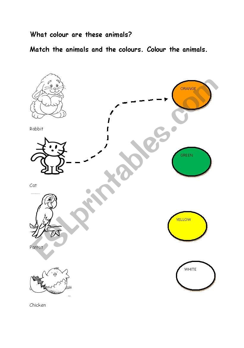Colourful Pets worksheet