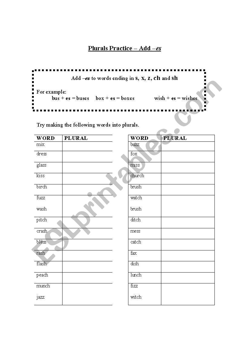 Plurals Practice- Add -es worksheet