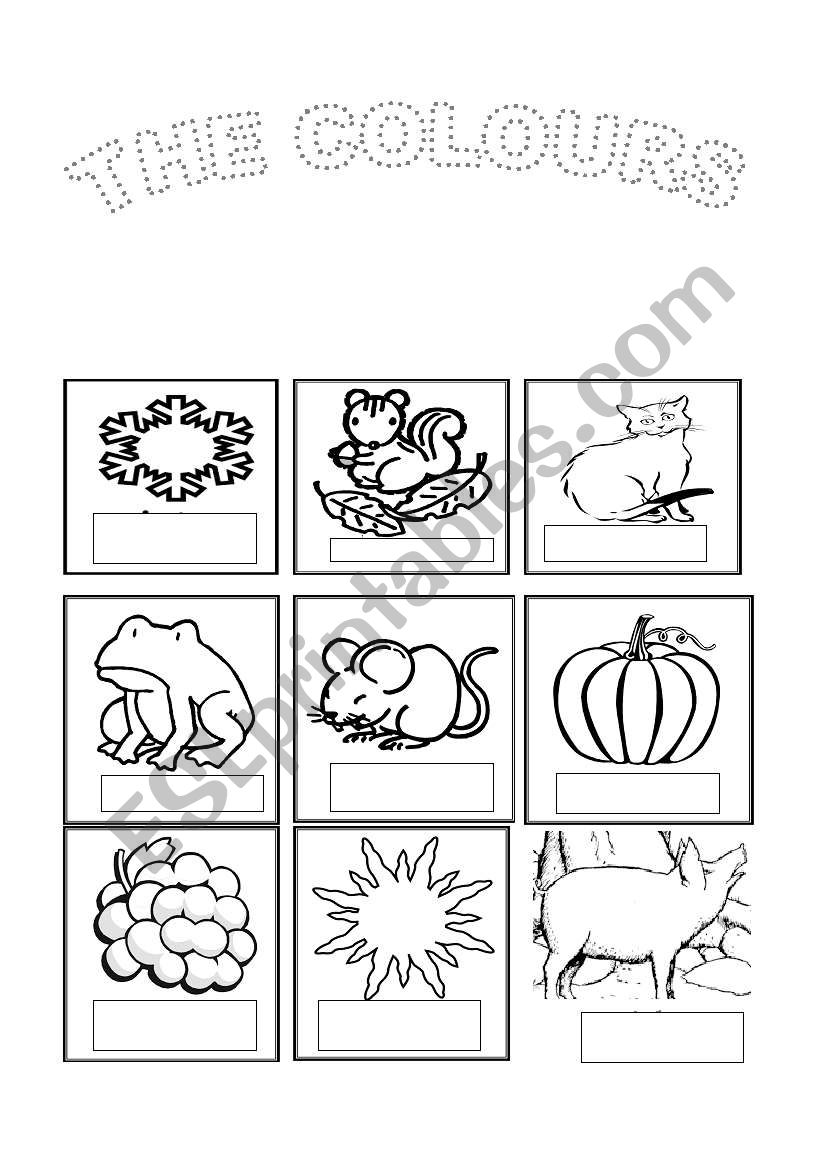 the colours worksheet