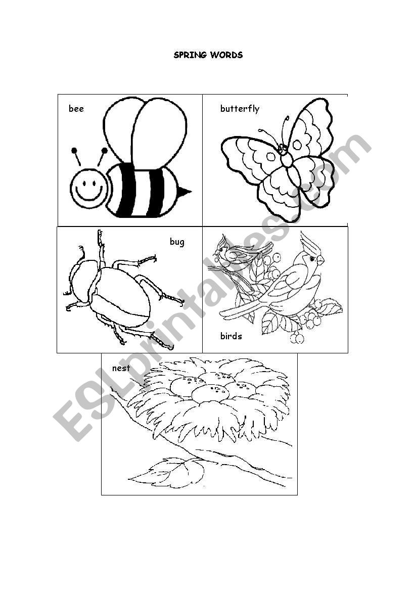 spring vocabulary worksheet