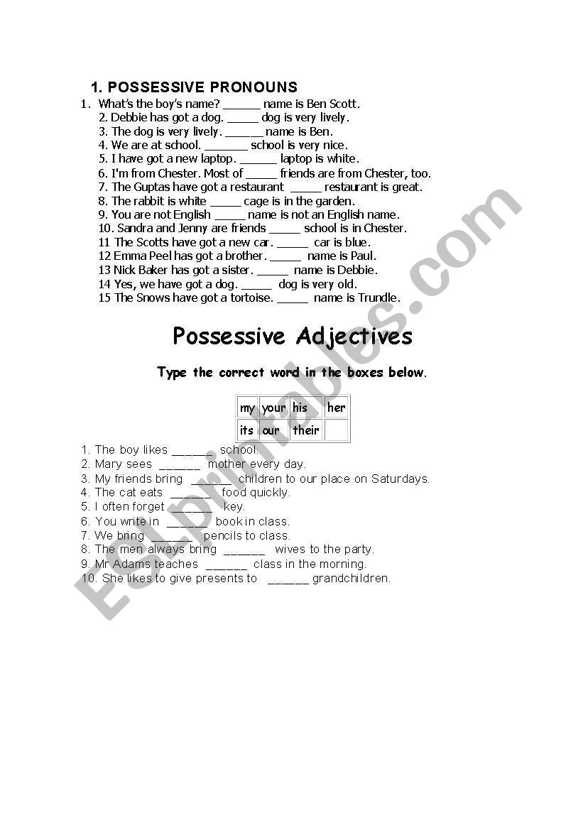 grammar worksheet