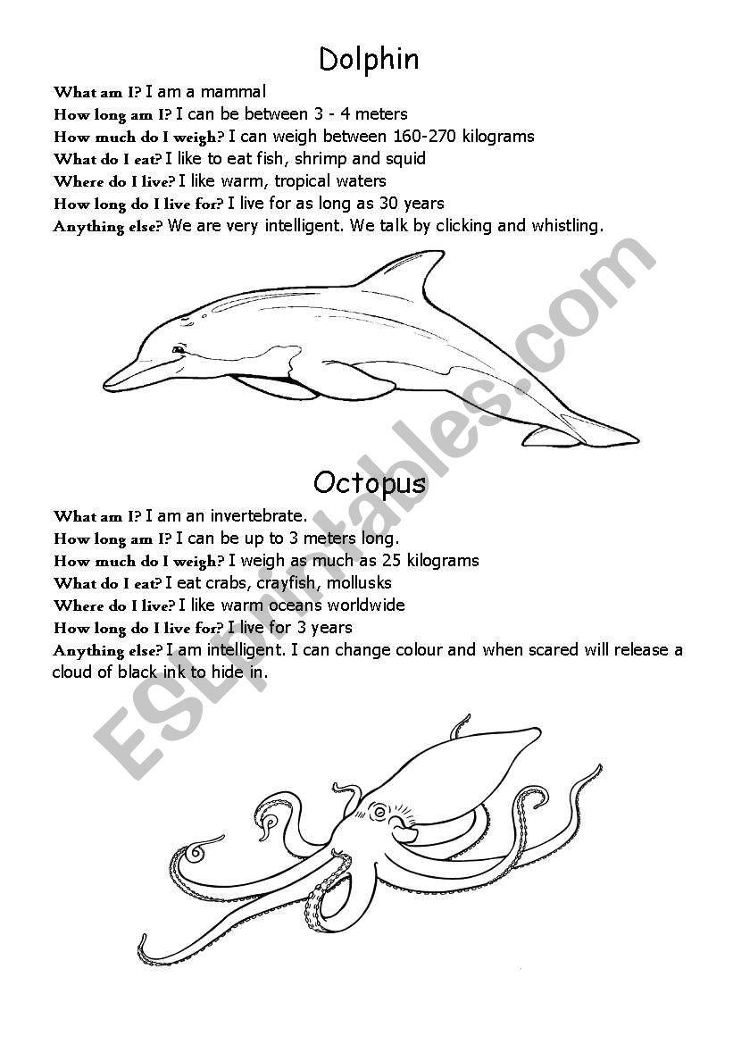 Sea life worksheet