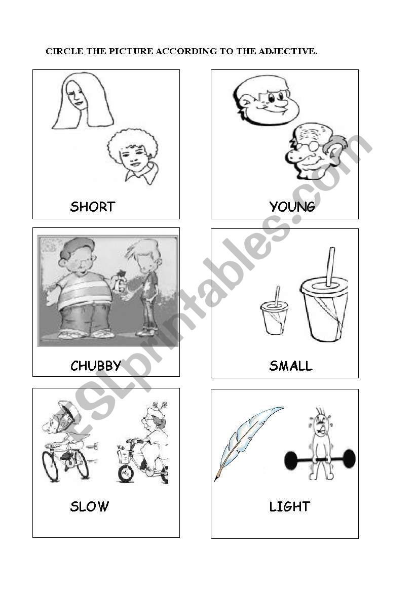 adjectives worksheet