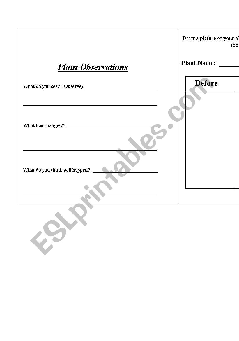 Plant Observation Jounral  worksheet