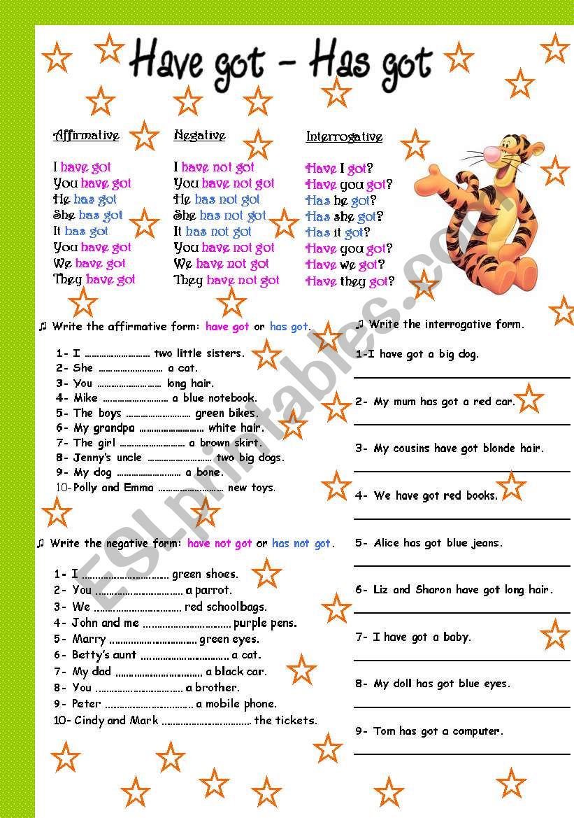 have got - has got worksheet