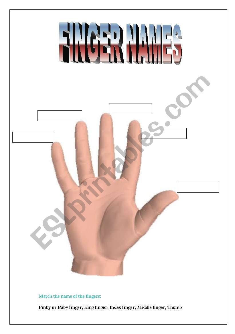 Finger Names worksheet