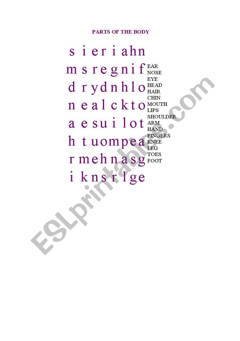 Parts of the body  worksheet