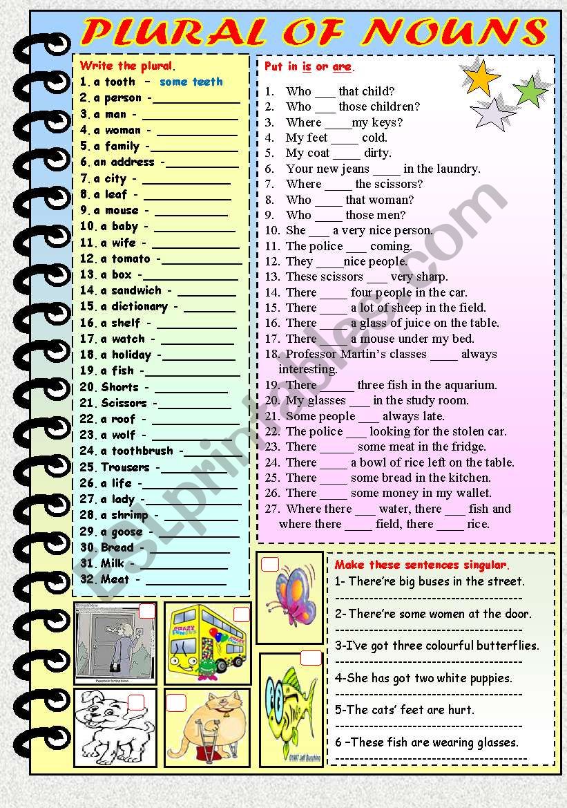 Plural of Nouns worksheet