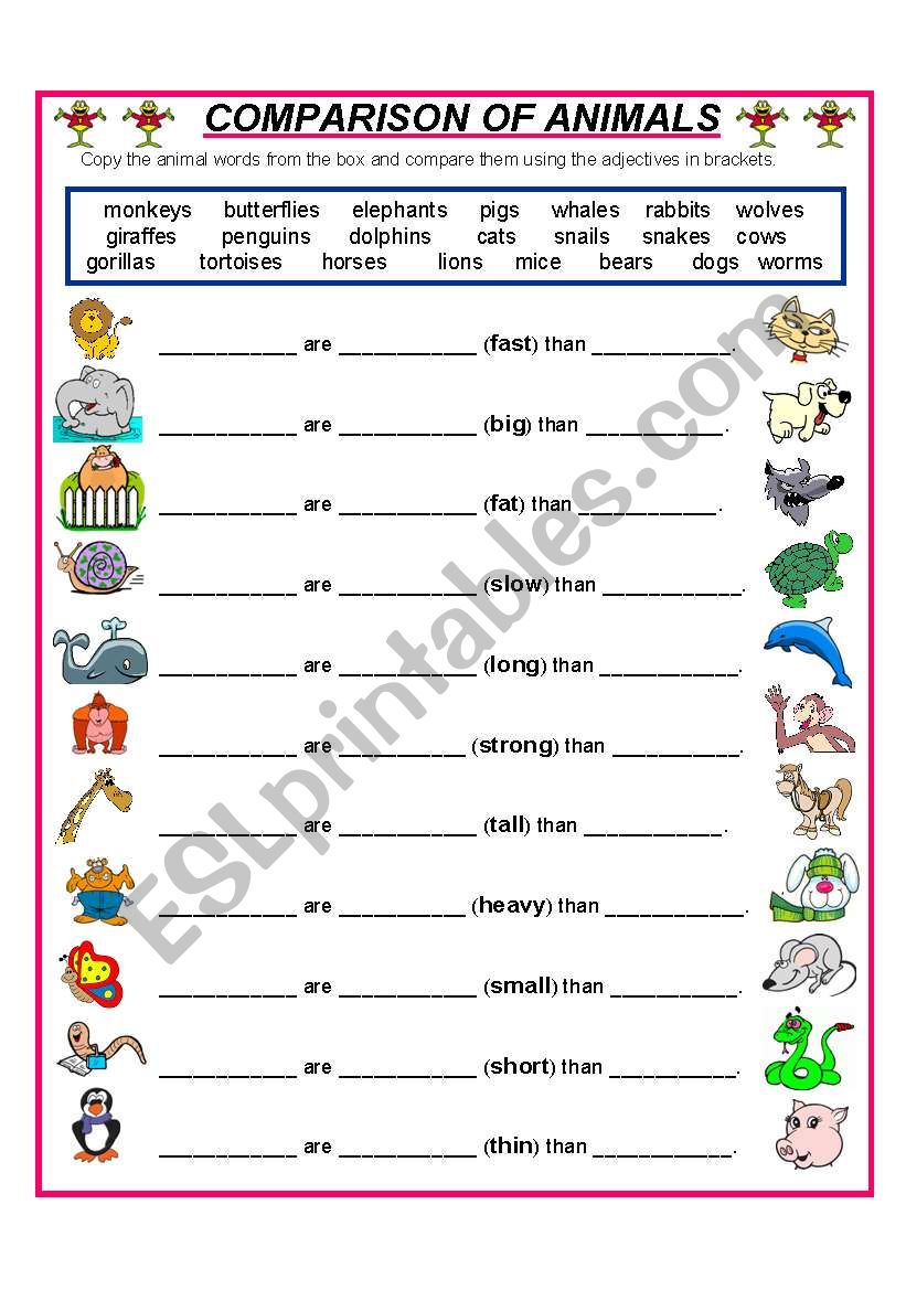 Comparisons упражнения. Comparatives Worksheets животные. Comparatives and Superlatives animals. Английский Comparison animals Worksheets. Animals Comparatives Worksheet.